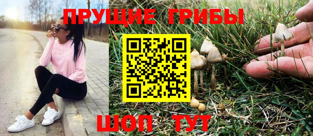 Элиста  Галлюциногенные грибы ЛСД  Вход с VPN  Псилоцибиновые грибы Magic Shrooms 