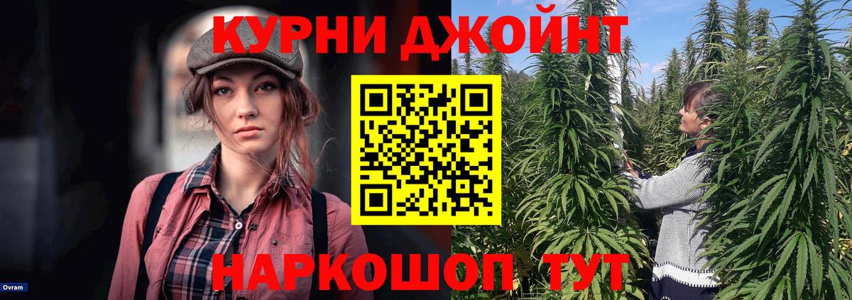 Каннабис сатива  Марихуана Amnesia  Элиста  Марихуана план  Вход с VPN 